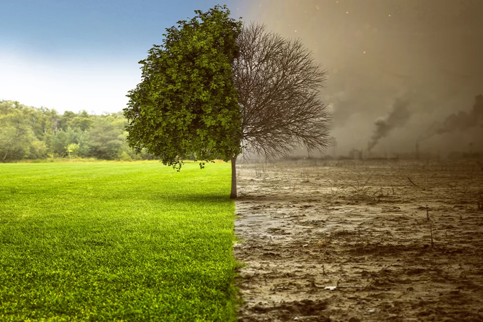 How Field Service Management can support a cleaner future How Field Service Management can support a cleaner future